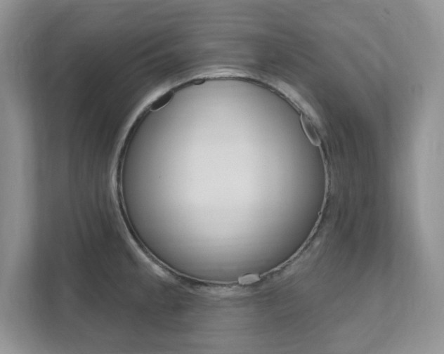 X0000111891189200907231441