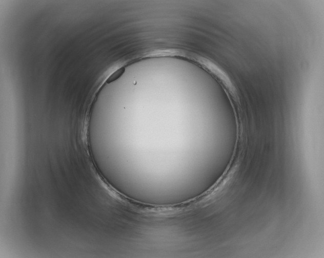 X0000111891193200907231441
