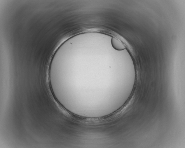 X0000111891194200907231441