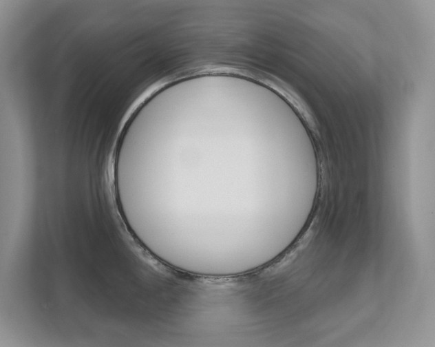 X0000111891198200907231441