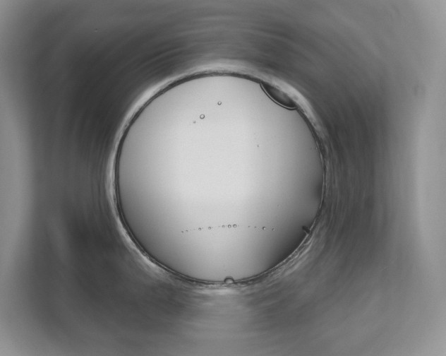 X0000111891199200907231441