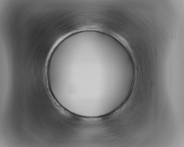 X0000111891200200907231441