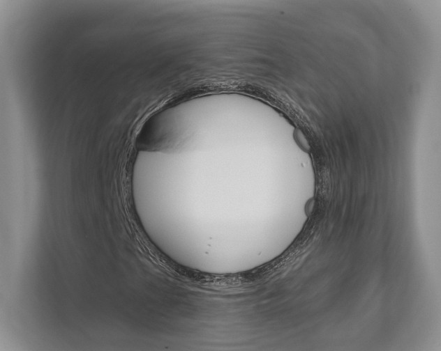 X0000111891201200907231440