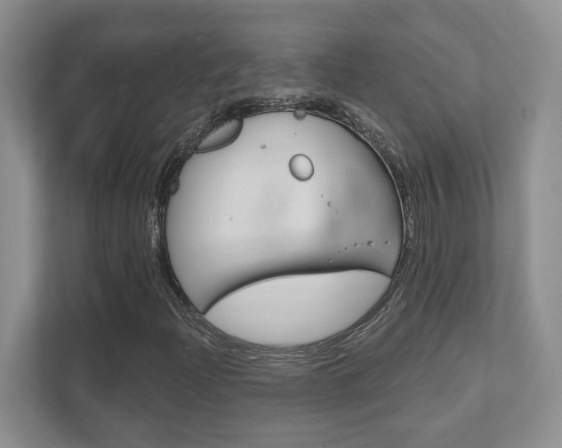 X0000111891204200907231440
