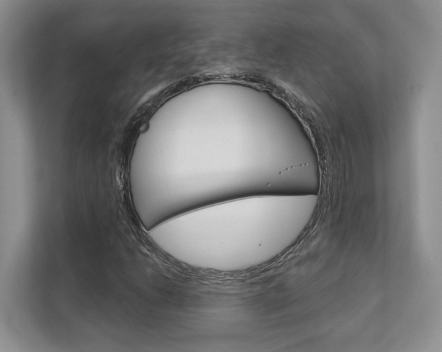 X0000111891206200907231440