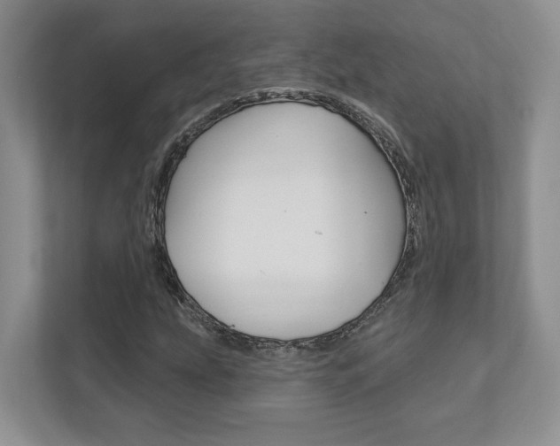 X0000111891207200907231440