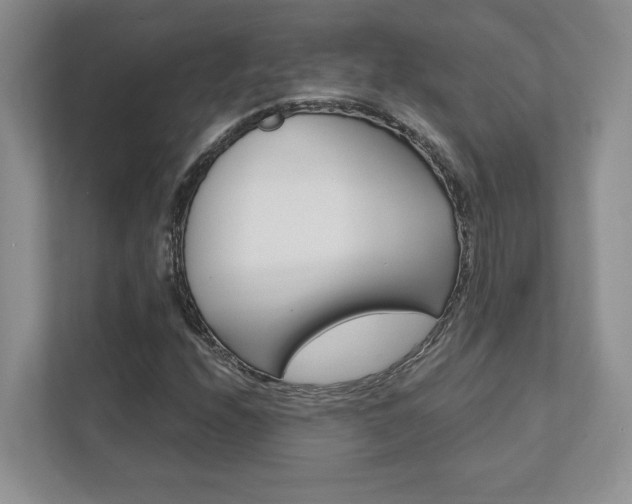 X0000111891208200907231440