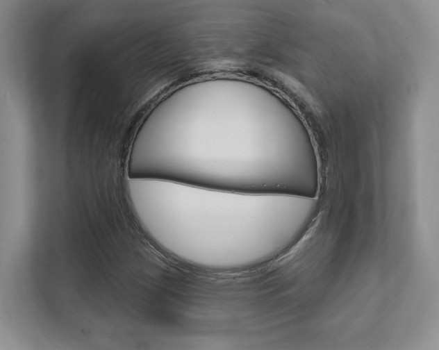 X0000111891209200907231440