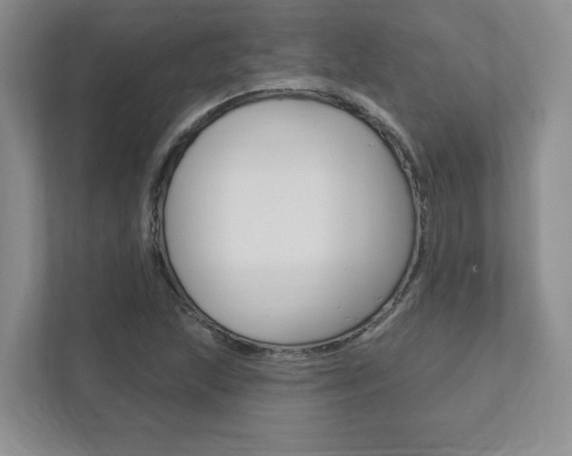 X0000111891215200907231440