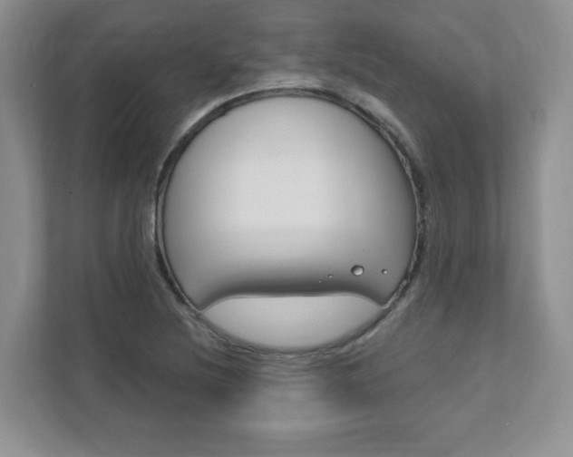 X0000111891220200907231440