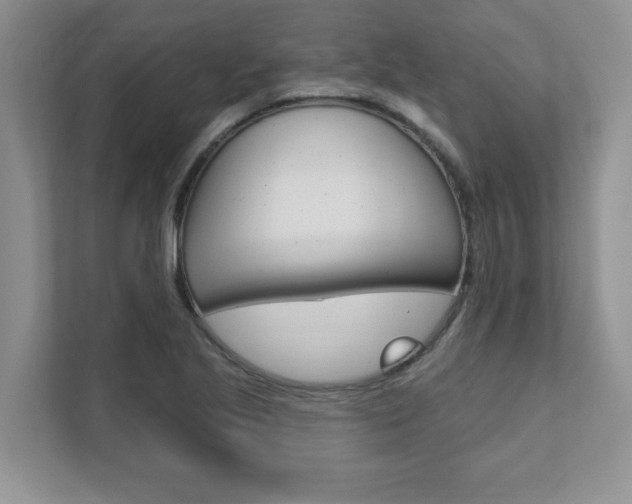 X0000111891221200907231440