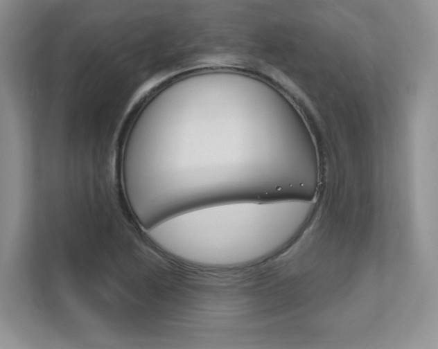X0000111891222200907231440