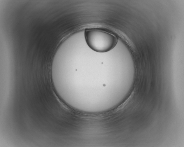 X0000111891225200907231440