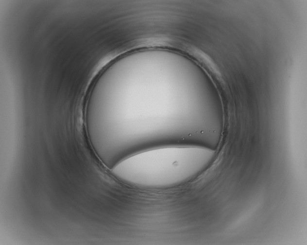 X0000111891226200907231440