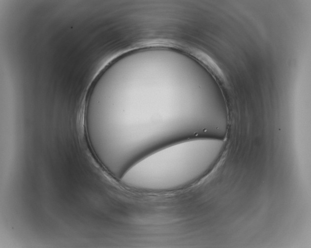 X0000111891228200907231440