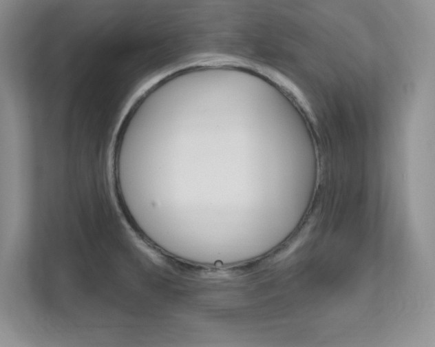 X0000111891231200907231441