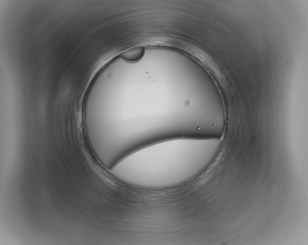 X0000111891234200907231441