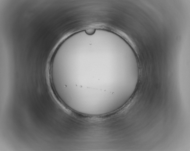 X0000111891235200907231441
