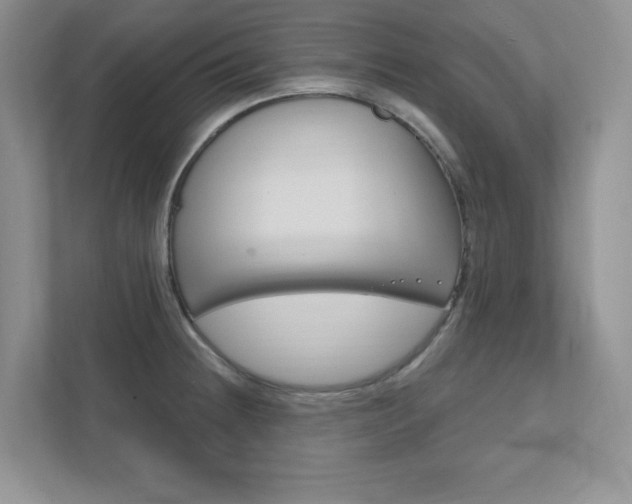 X0000111891236200907231441