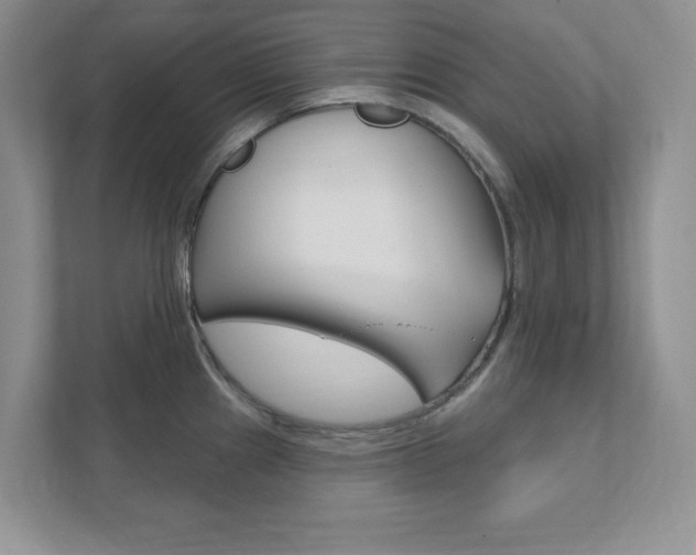 X0000111891241200907231441