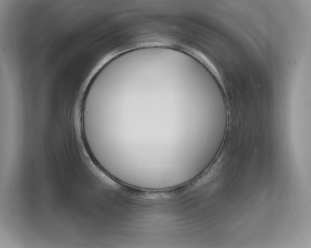 X0000111891243200907231441