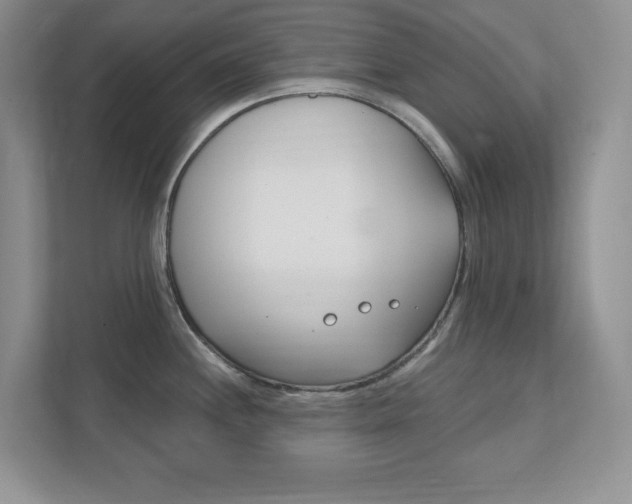 X0000111891244200907231441