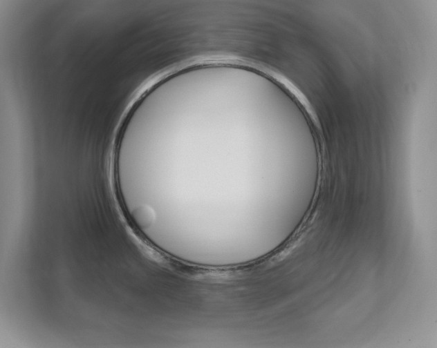 X0000111891245200907231441