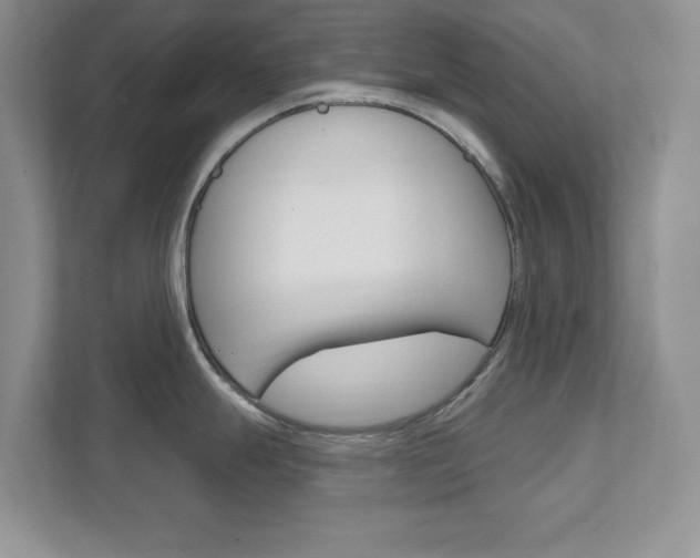 X0000111891247200907231441