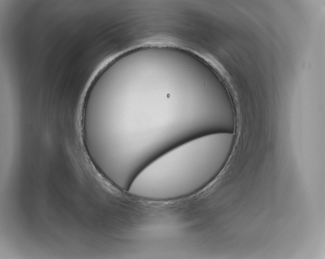 X0000111891248200907231441