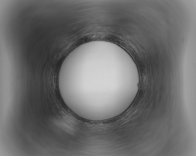 X0000111891250200907231440