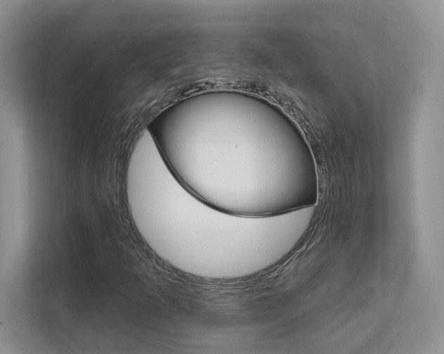 X0000111891253200907231440