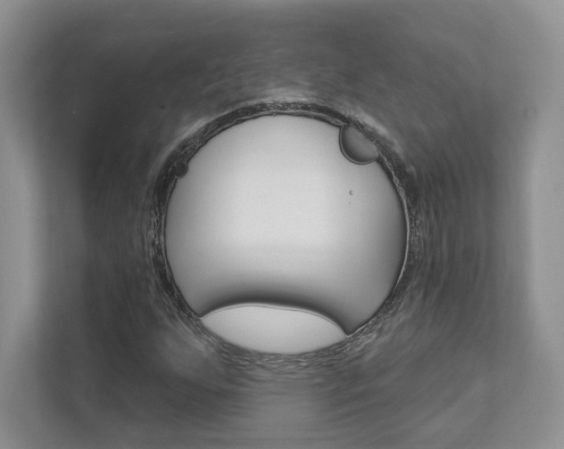 X0000111891255200907231440