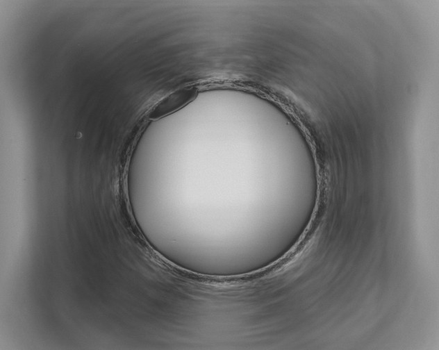 X0000111891257200907231440