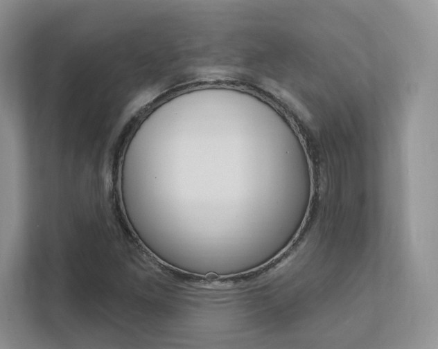 X0000111891261200907231440