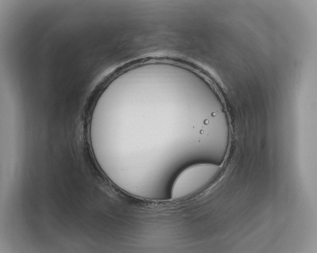 X0000111891263200907231440