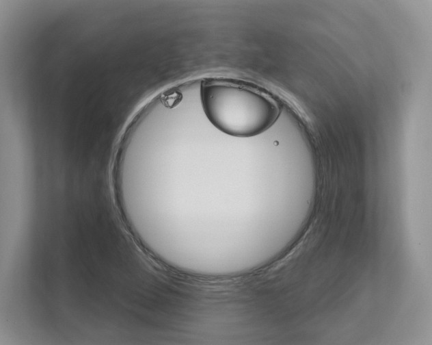 X0000111891264200907231440