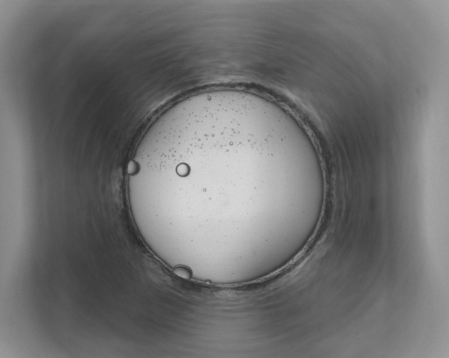 X0000111891265200907231440