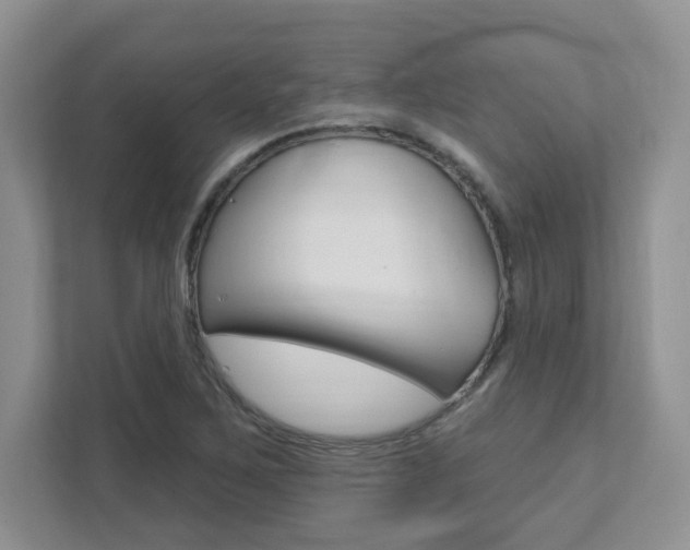 X0000111891267200907231440
