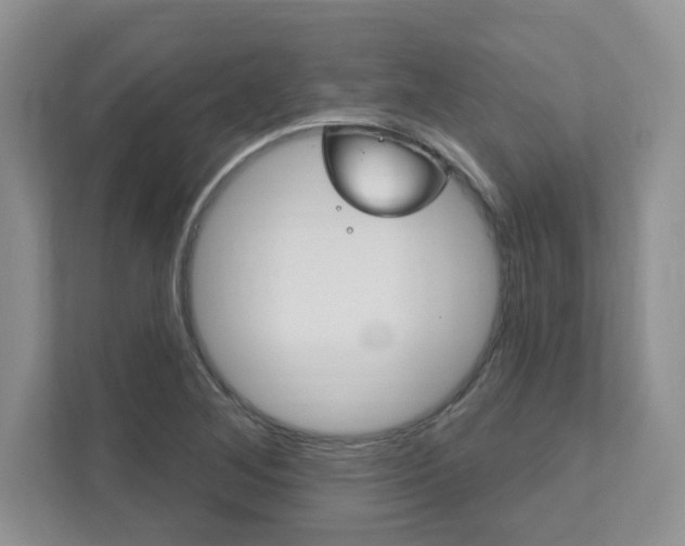 X0000111891268200907231440