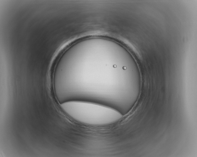 X0000111891270200907231440