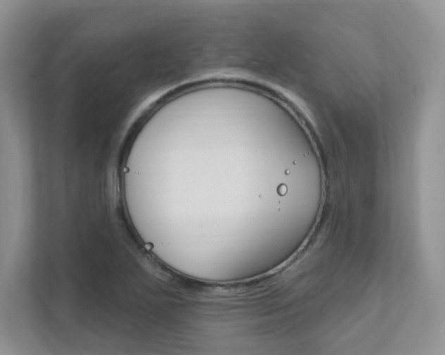 X0000111891271200907231440