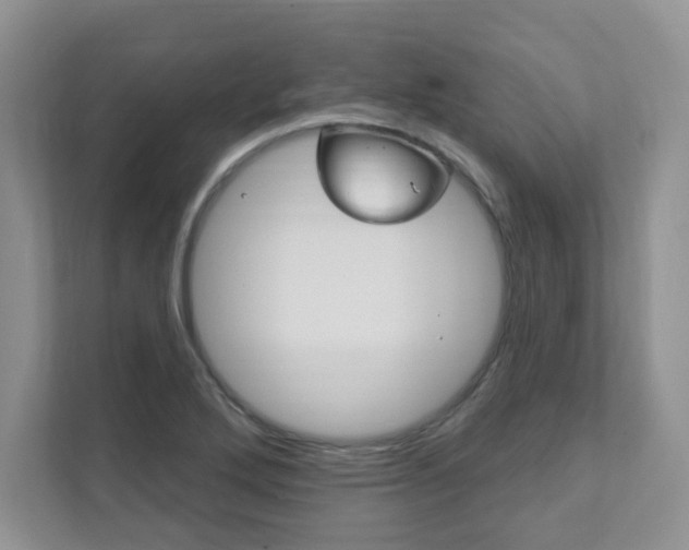 X0000111891272200907231440