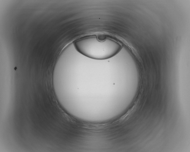 X0000111891273200907231440