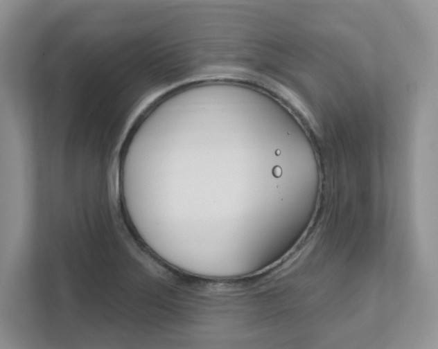 X0000111891275200907231440