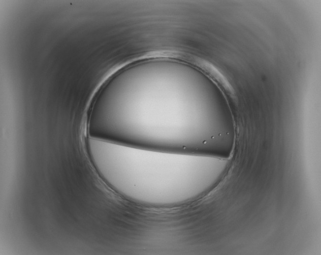 X0000111891276200907231440