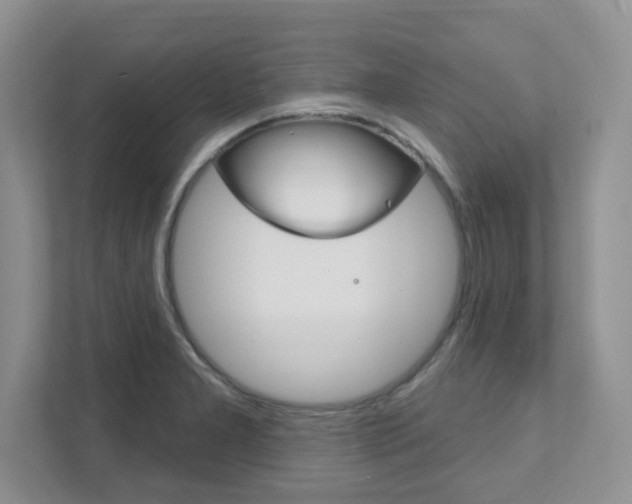 X0000111891277200907231440