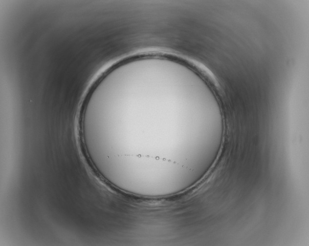 X0000111891279200907231440