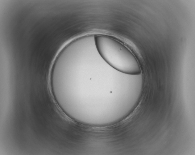 X0000111891280200907231440