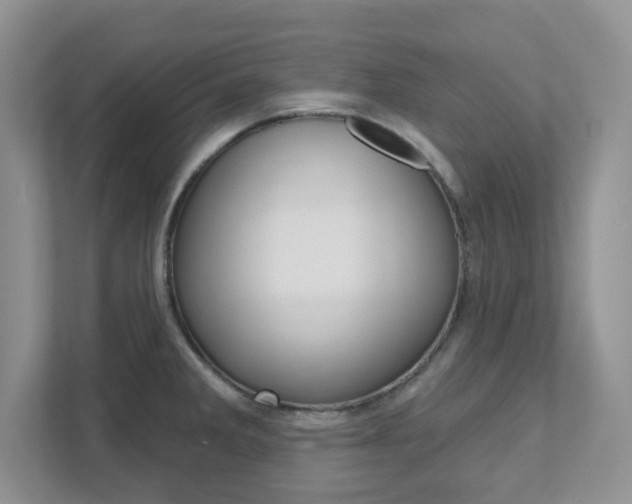 X0000111891285200907231440