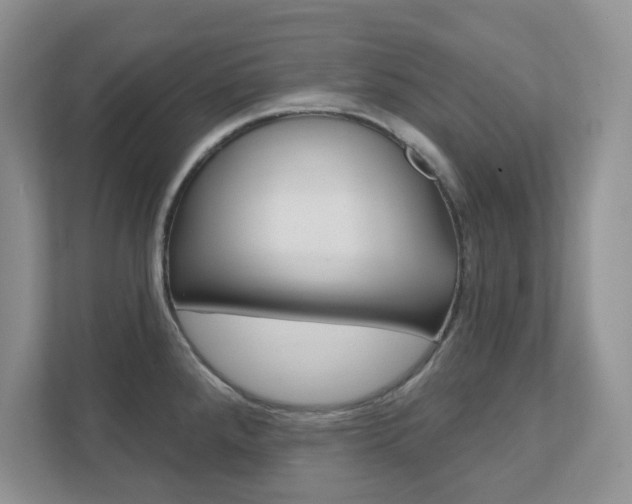 X0000111891288200907231440